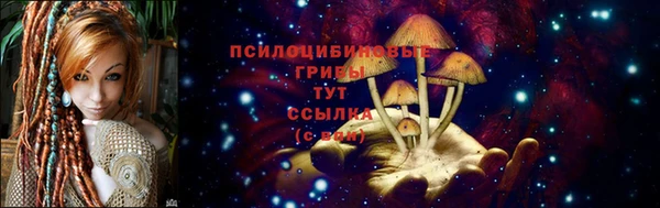 альфа пвп Тавда