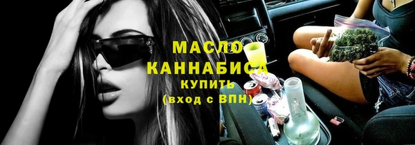 гашик Тайга