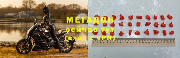 гашик Тайга