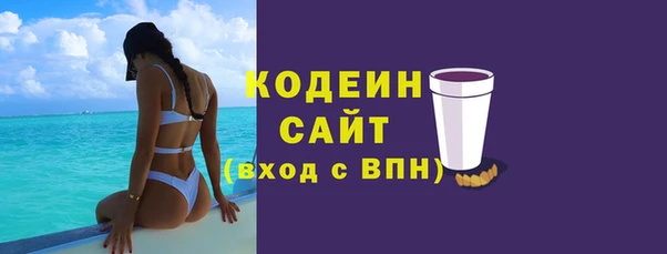 гашик Тайга