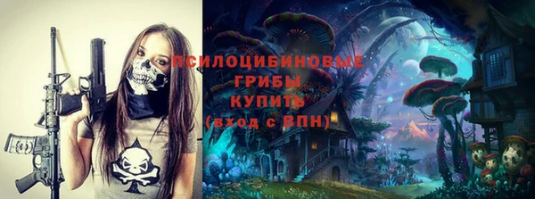 2c-b Сясьстрой